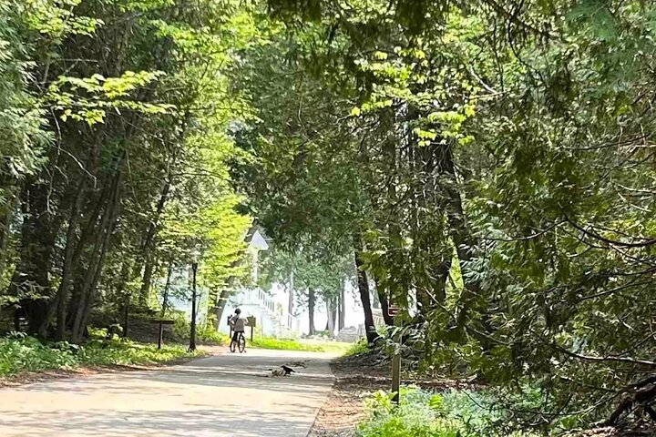 Elegant East Bluff : een zelfstandige Mackinac Island Tour