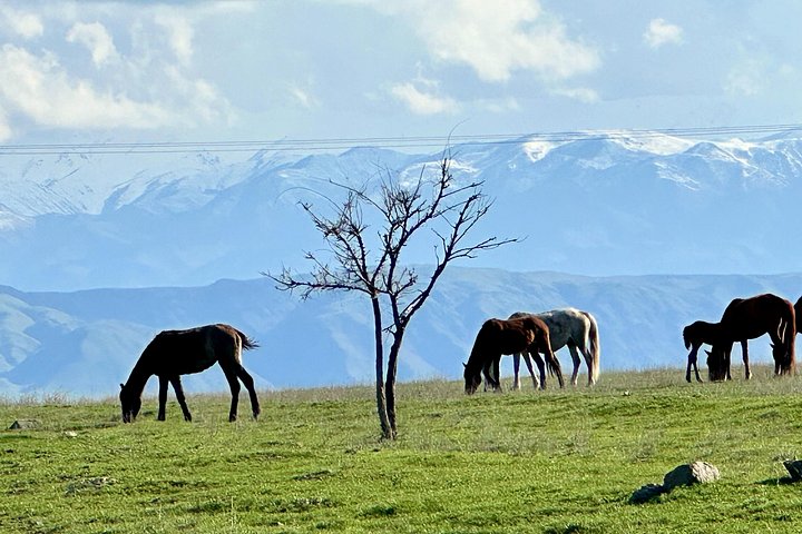 Ancient petroglyphs of Tanbaly - UNESCO World Heritage