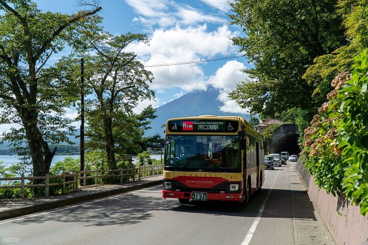 Pasos del Monte Fuji (opcional)