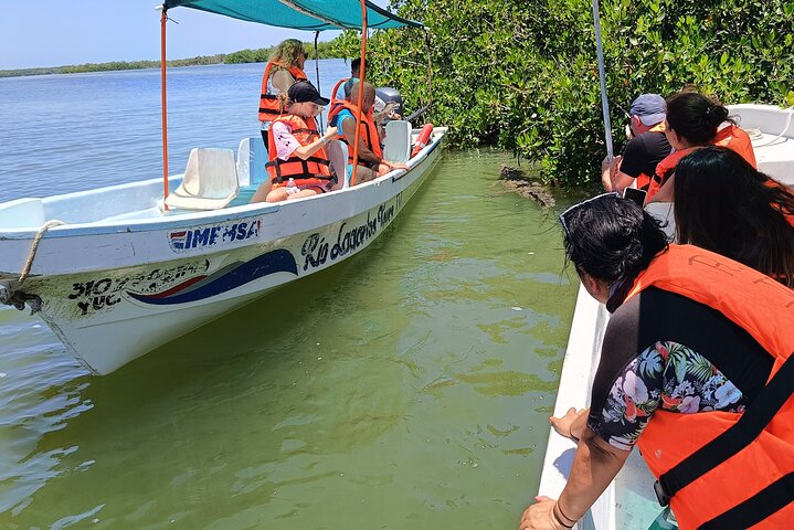 Tour naturalistico a Río Lagartos: coccodrilli e fenicotteri