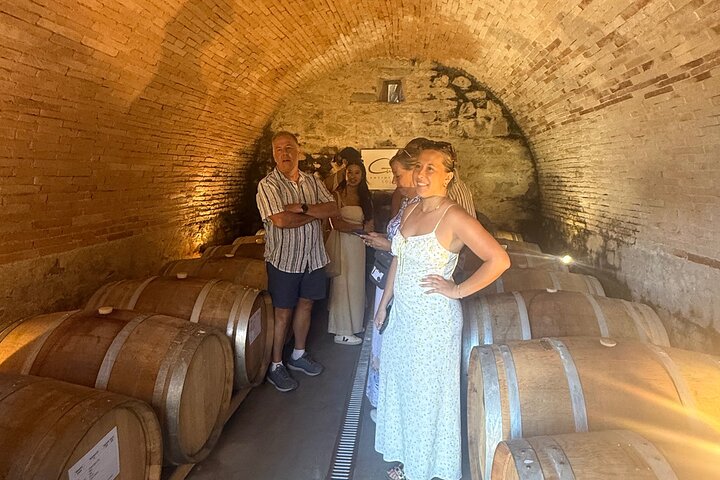 Tour privado del vino Chianti con traslados desde Florencia