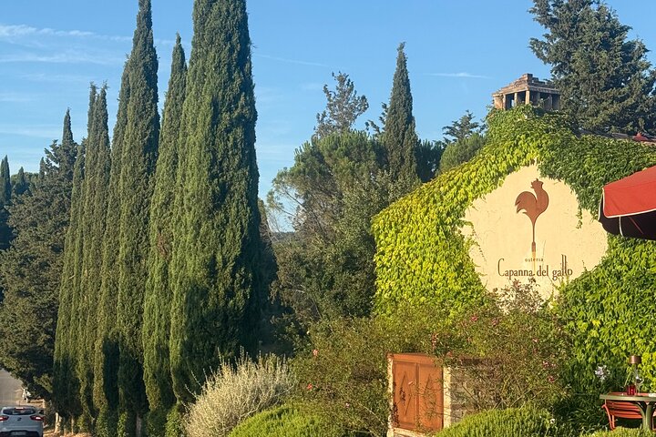 Tour privado del vino Chianti con traslados desde Florencia