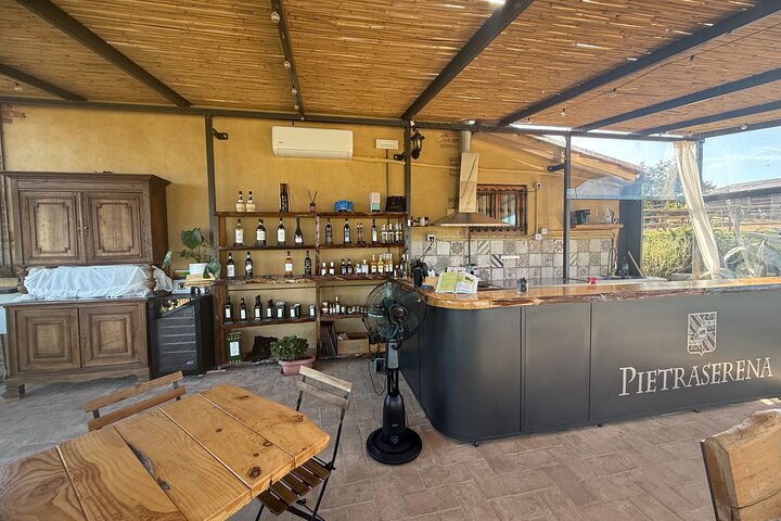 Tour privado del vino Chianti con traslados desde Florencia