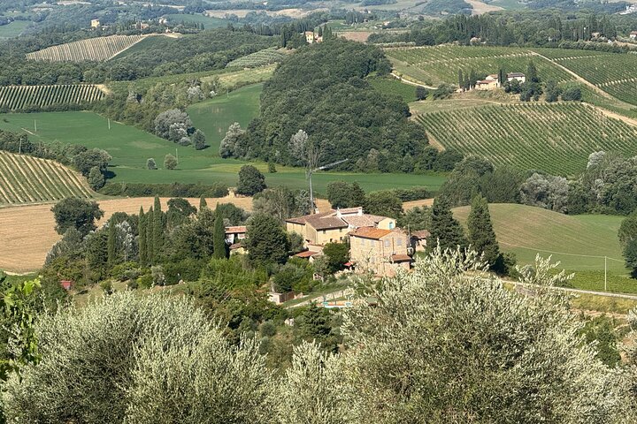Tour privado del vino Chianti con traslados desde Florencia