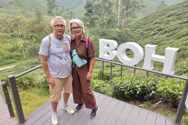 Excursion d'une journée à Cameron Highlands au départ d'Ipoh avec déjeuner et forêt moussue