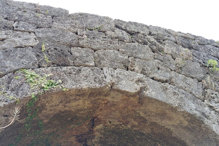 Okinawa : tour del patrimonio del castello di Zakimi e del museo di Yuntanza