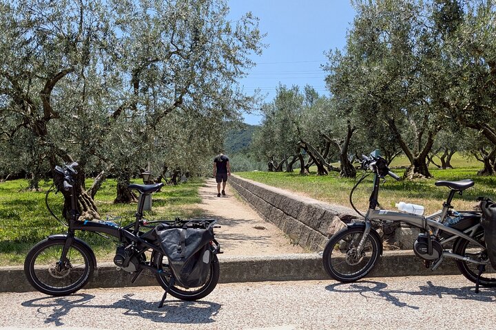 Tour en E-Bike de día completo por Shodoshima : Angel Road & Rice Terraces