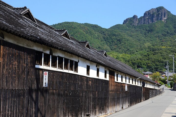 Tour en E-Bike de día completo por Shodoshima : Angel Road & Rice Terraces