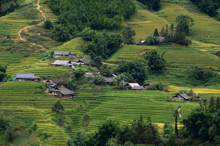 Sapa No-Trek Eco Tour : Valle de Muong Hoa & Ta Van, Spa a pie, Café