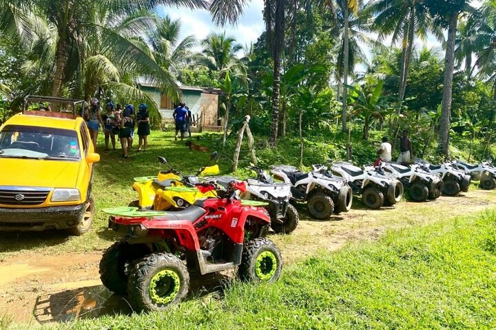 Tour en safari por la selva desde Montego Bay