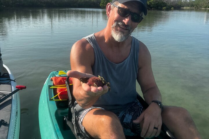 Bonita Springs Eco Kayak tur – beste utstyr, premium og klare kajakker