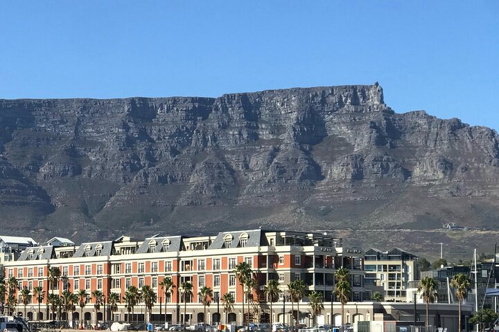 Tafelberg- en Robbeneilandtour met vooraf geboekte tickets