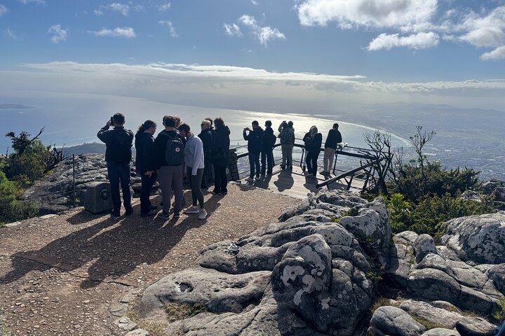 Tafelberg- en Robbeneilandtour met vooraf geboekte tickets