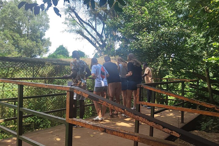 Tour a piedi del giardino botanico privato nella città di Entebbe