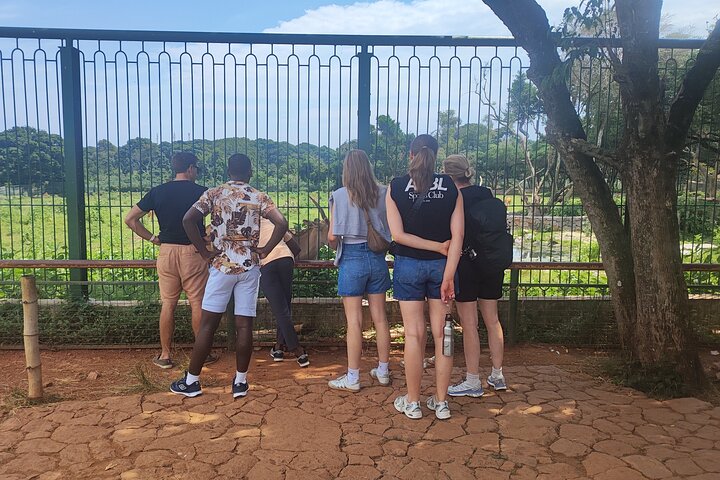 Tour a piedi del giardino botanico privato nella città di Entebbe