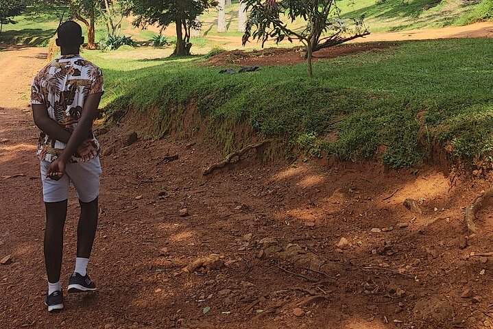 Tour a piedi del giardino botanico privato nella città di Entebbe