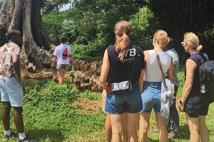 Tour a piedi del giardino botanico privato nella città di Entebbe