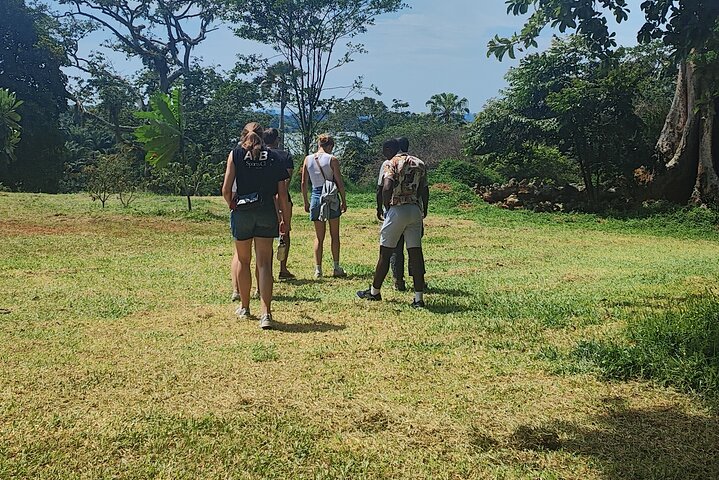 Tour a piedi del giardino botanico privato nella città di Entebbe