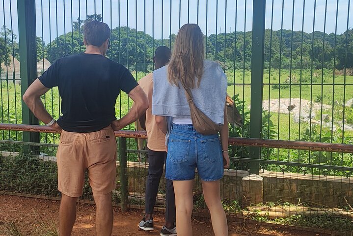 Tour a piedi del giardino botanico privato nella città di Entebbe