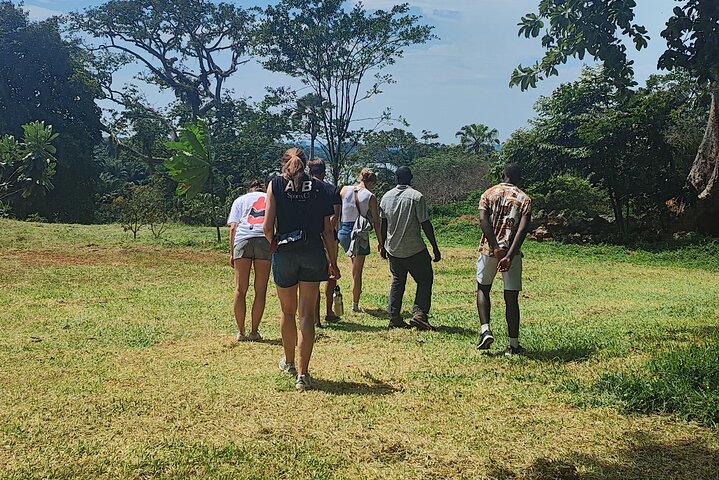 Tour a piedi del giardino botanico privato nella città di Entebbe