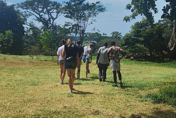 Tour a piedi del giardino botanico privato nella città di Entebbe