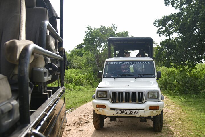 Restauranter i nærheten av Udawalawe National Park