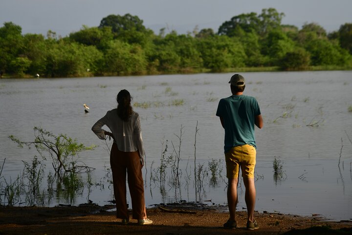 Restauranter i nærheten av Udawalawe National Park