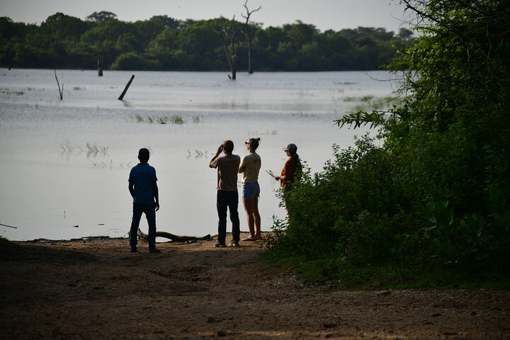 Restauranter i nærheten av Udawalawe National Park