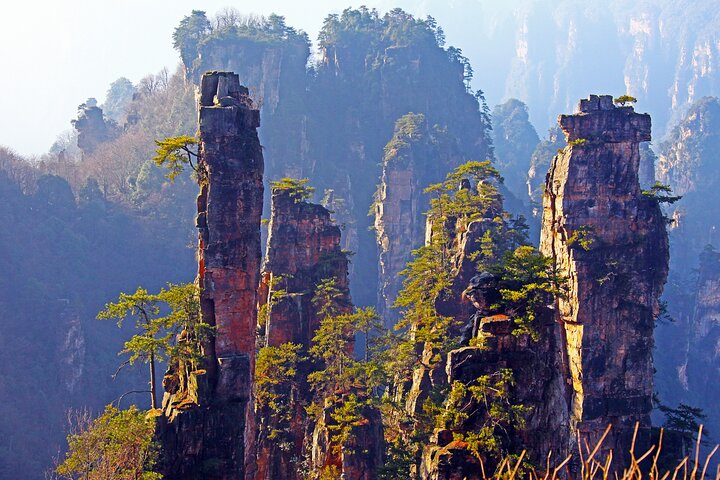 Tour privato di 1 giorno al Parco Nazionale della Foresta ZJJ e Avatar Mountain
