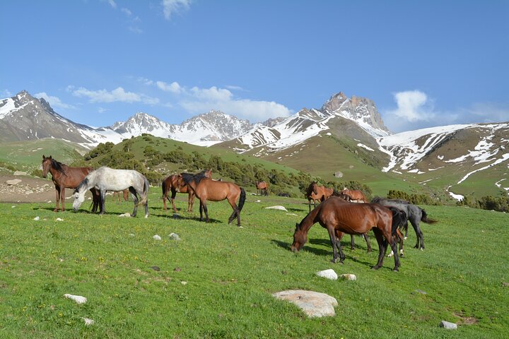 2 - Tour di un giorno in montagna di Kichi Alay con pernottamento