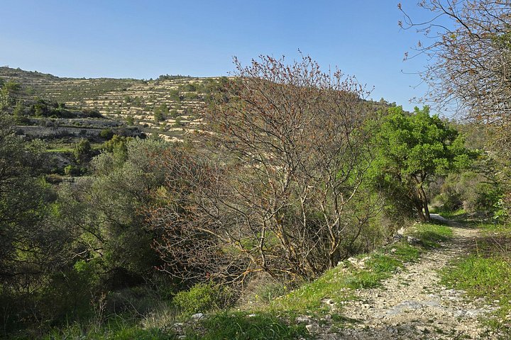 TOUR PRIVADO | Troodos : Cascada, Pueblos & Almuerzo chipriota