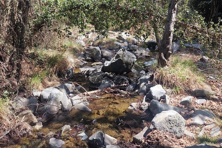 TOUR PRIVADO | Troodos : Cascada, Pueblos & Almuerzo chipriota