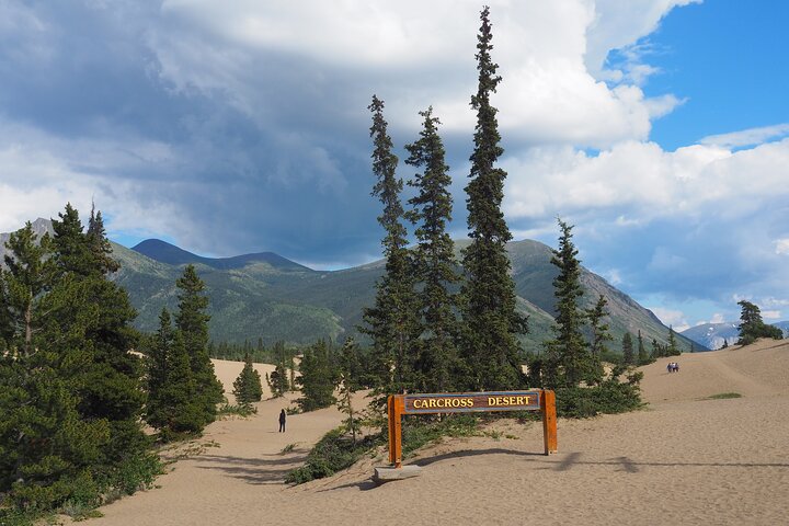 Día del Ártico: tour de senderismo en Carcross y los lagos del sur | día completo