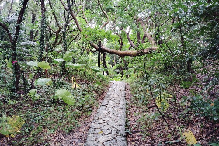 Okinawa: Den hellige Sefa Utaki går inn i Ryukyos åndelige liv