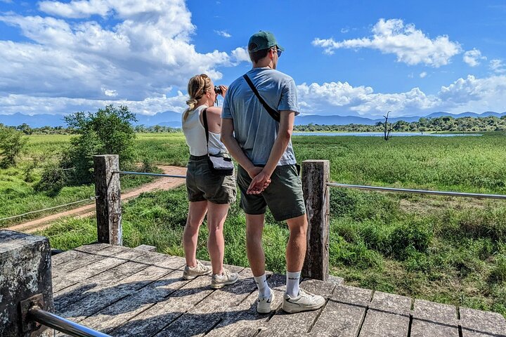 Wasgamuwa National Park Safari Jeep Tour Wildlife Encounters