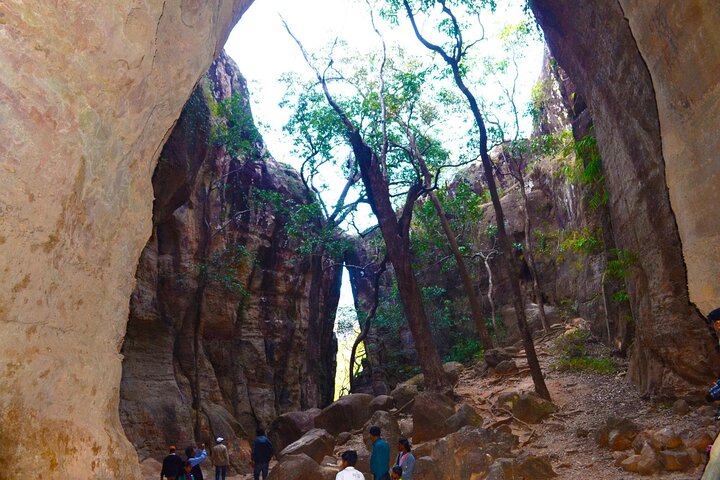 Nagpur till Bhopal via Pench & Satpura National Park