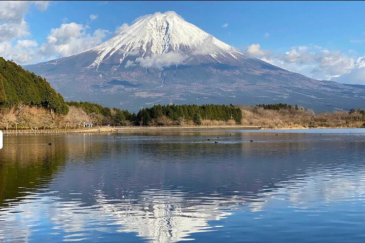 Excursion en voiture de groupe à Fuji par le port de Shimizu avec Guide local