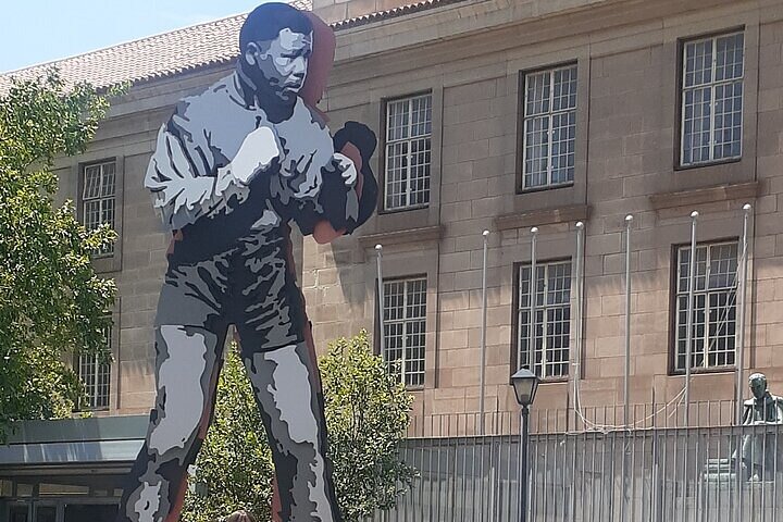 Visite de la ville de Johannesburg (demi-journée)