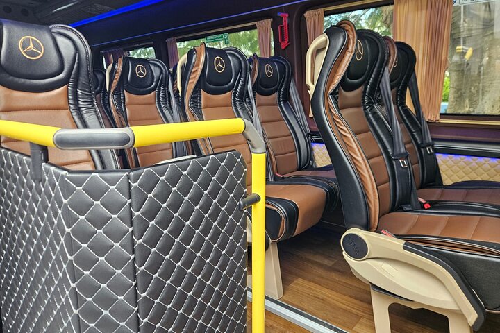 Transfers - Haifa, TLV, Aeroporto, JLM, Jordânia - VIP minibus