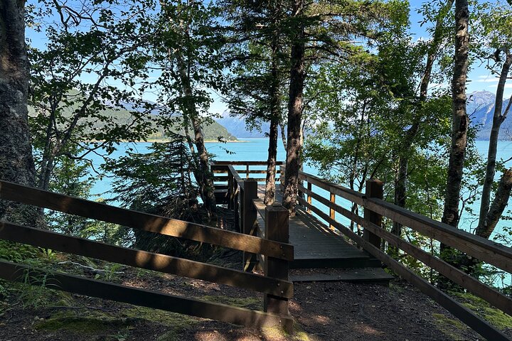 Alaska Natura Immersione: Tour di terapia forestale a Haines, Alaska