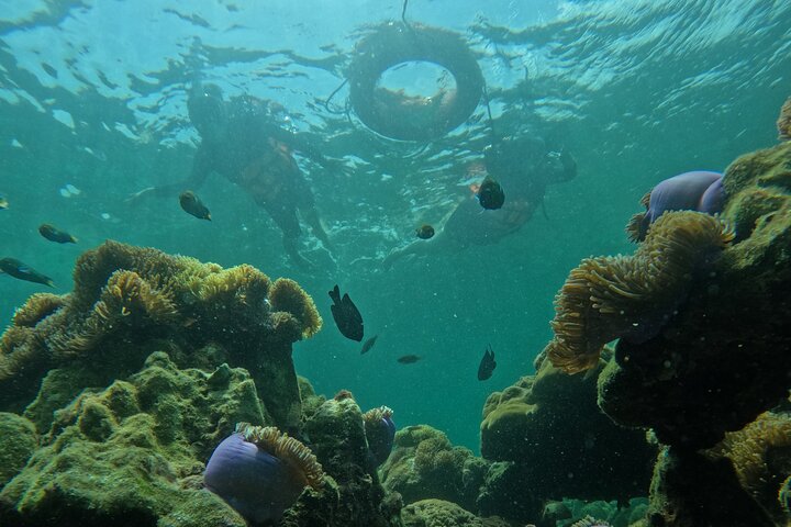 Snorkeling Program AB with longtail boat