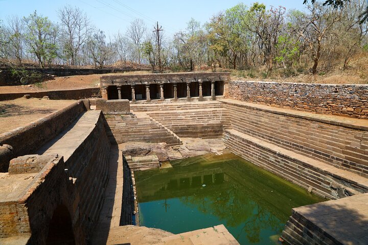Nagpur till Bhopal via Pench & Satpura National Park