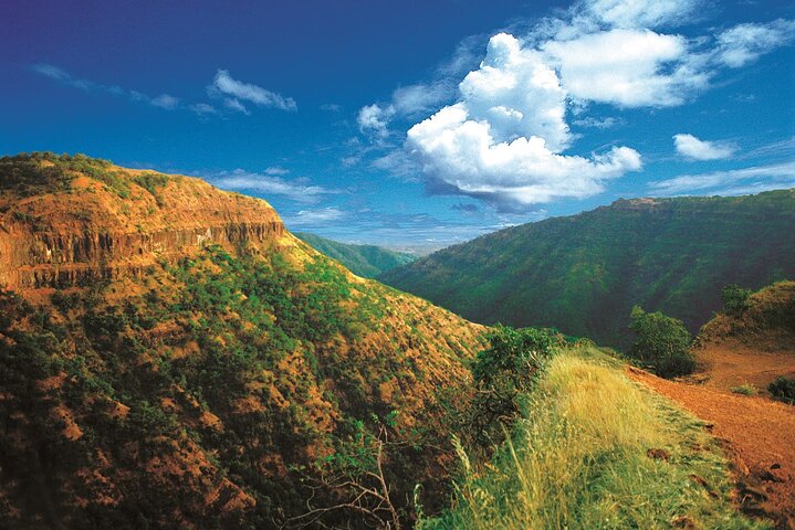 Nagpur till Bhopal via Pench & Satpura National Park
