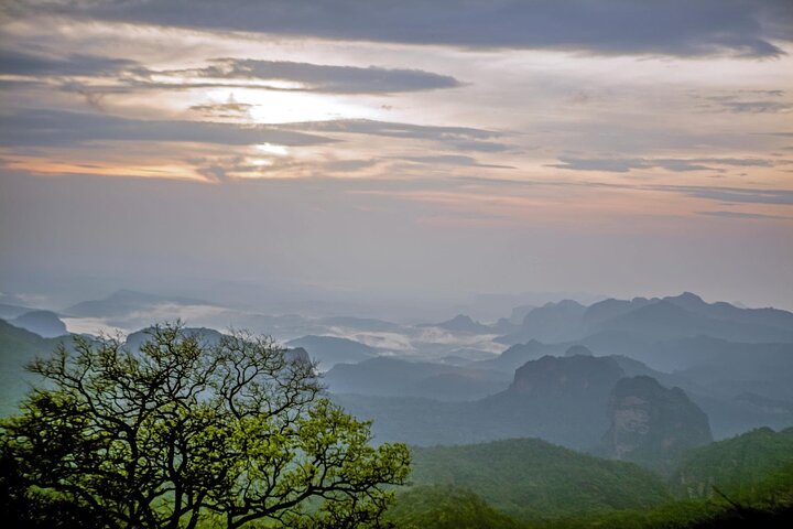 Nagpur till Bhopal via Pench & Satpura National Park