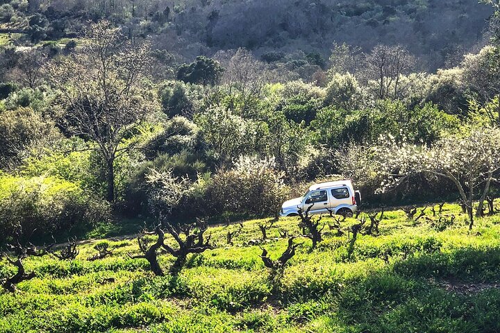 Ontdek de unieke wijn en dorpen van de Sierra de Salamanca
