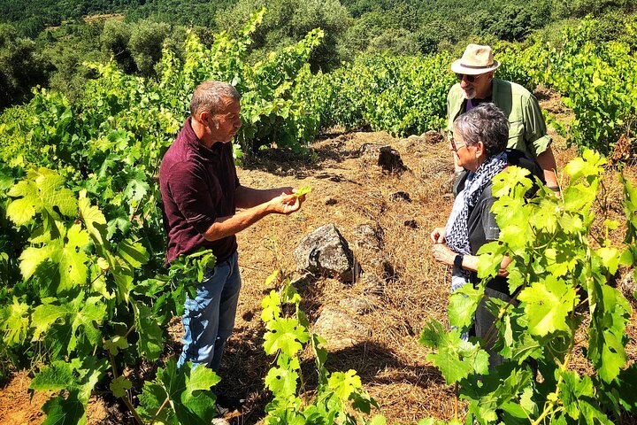 Ontdek de unieke wijn en dorpen van de Sierra de Salamanca