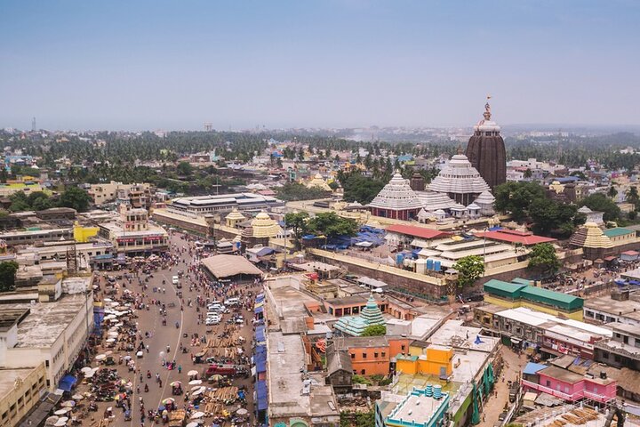 Calcutta à Bhubaneshwar via la réserve de tigres et la forêt de mangroves