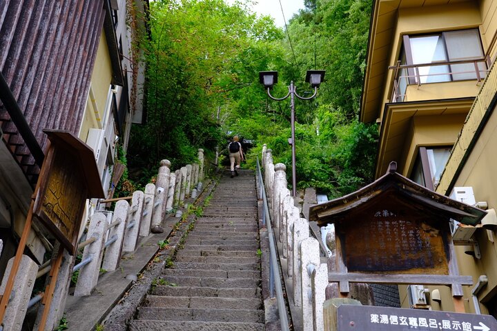Nagano Snow Monkeys - Privat halvdagstur