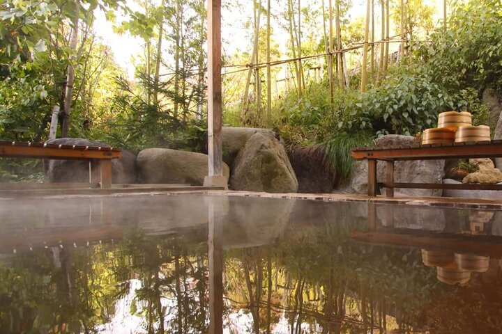 Nagano Snow Monkeys - Privat halvdagstur