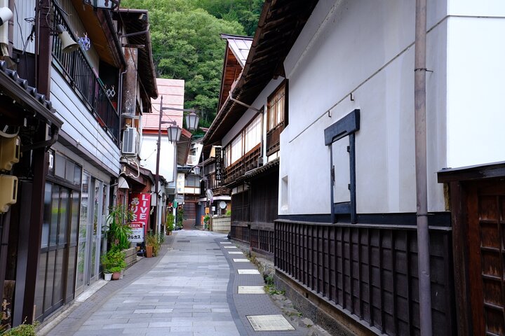 Nagano Snow Monkeys - Privat halvdagstur